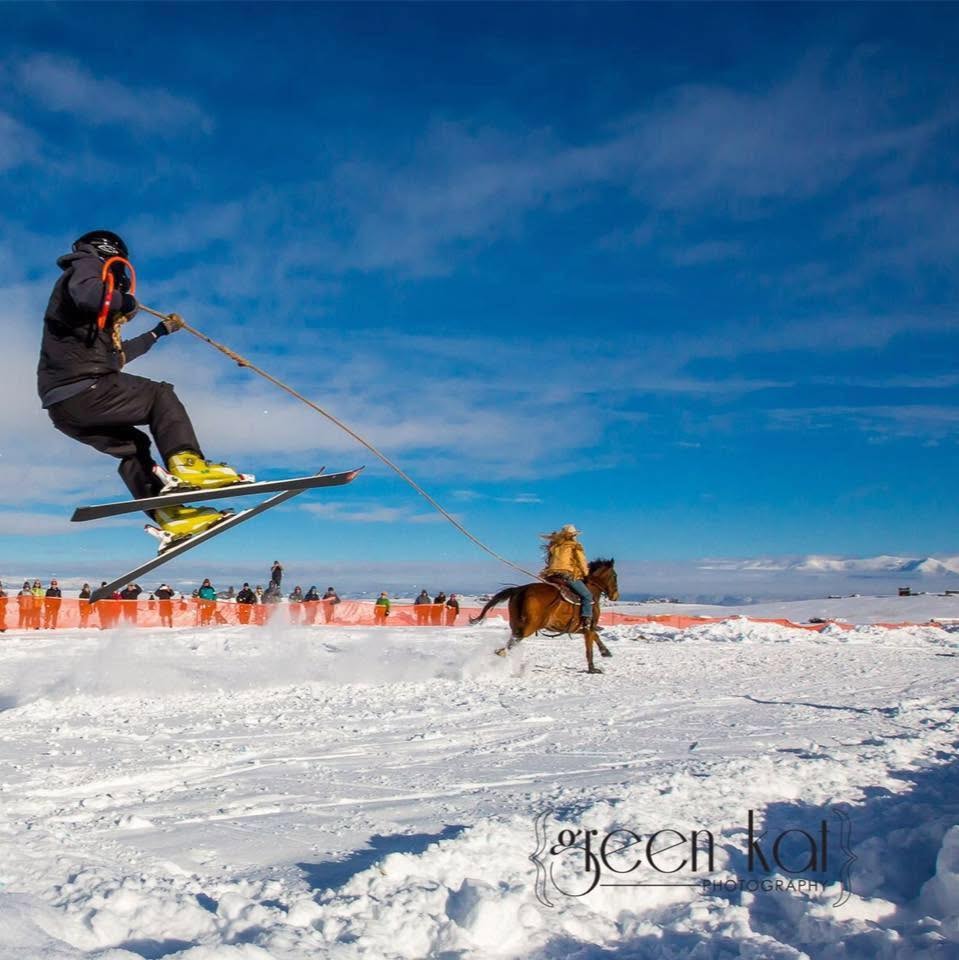 Skijoring The Big Rock